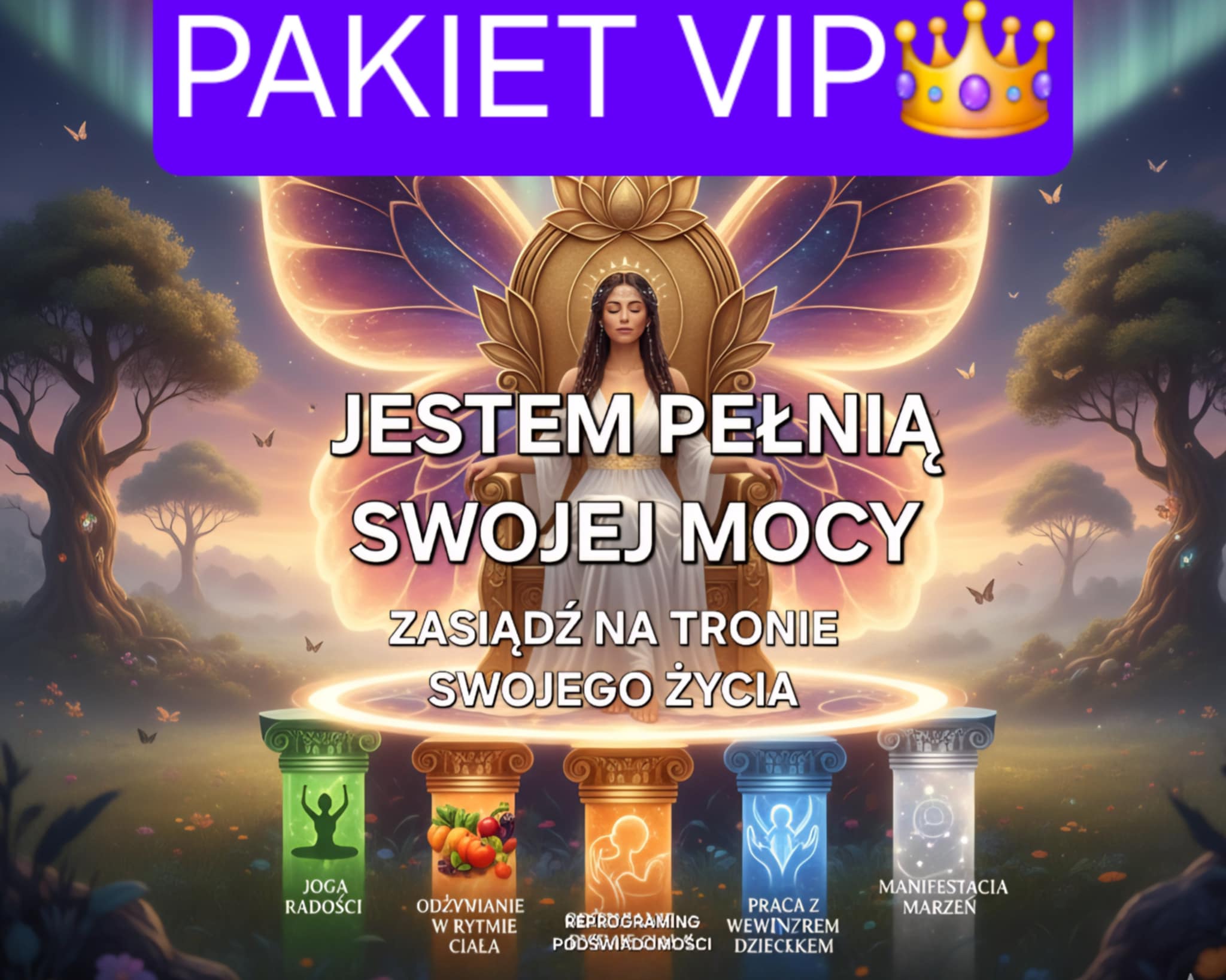 PROGRAM ONLINE "JESTEM PEŁNIĄ SWOJEJ MOCY" - PAKIET VIP